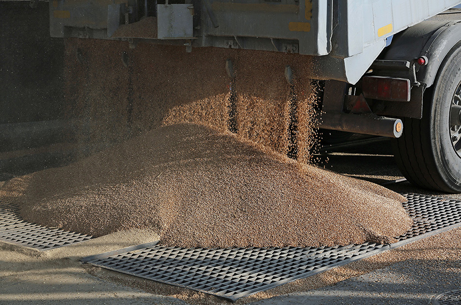 Secteur agro cerealier